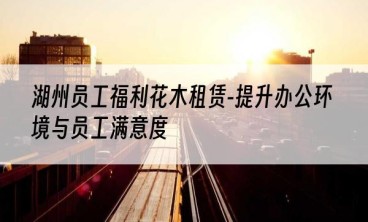 湖州员工福利花木租赁-提升办公环境与员工满意度