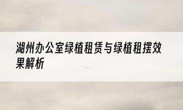 湖州办公室绿植租赁与绿植租摆效果解析