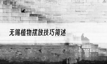 无锡植物摆放技巧简述