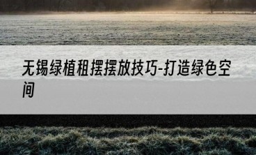 无锡绿植租摆摆放技巧-打造绿色空间
