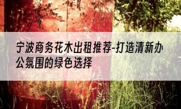宁波商务花木出租推荐-打造清新办公氛围的绿色选择