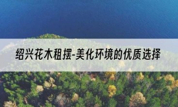 绍兴花木租摆-美化环境的优质选择