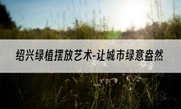 绍兴绿植摆放艺术-让城市绿意盎然