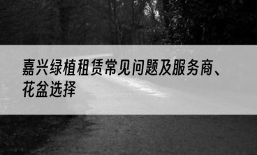 嘉兴绿植租赁常见问题及服务商、花盆选择