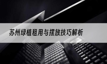 苏州绿植租用与摆放技巧解析