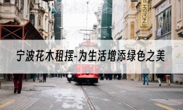 宁波花木租摆-为生活增添绿色之美