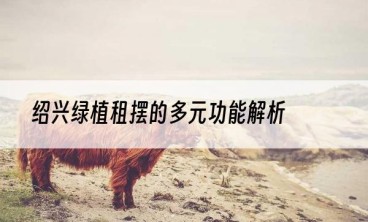 绍兴绿植租摆的多元功能解析