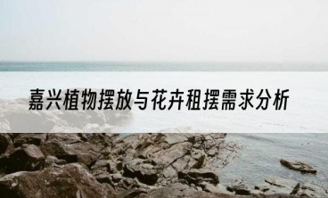 嘉兴植物摆放与花卉租摆需求分析