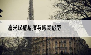 嘉兴绿植租摆与购买指南