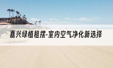 嘉兴绿植租摆-室内空气净化新选择