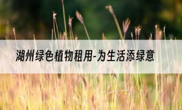 湖州绿色植物租用-为生活添绿意