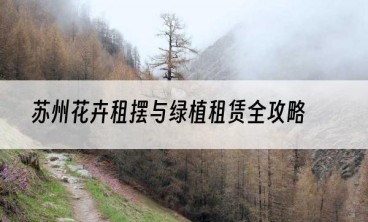 苏州花卉租摆与绿植租赁全攻略