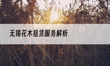 无锡花木租赁服务解析