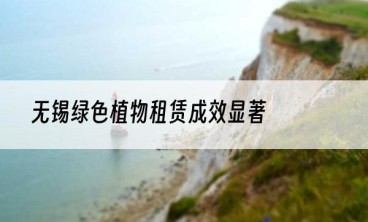 无锡绿色植物租赁成效显著