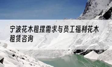 宁波花木租摆需求与员工福利花木租赁咨询