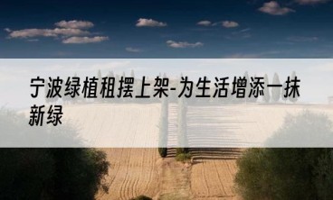 宁波绿植租摆上架-为生活增添一抹新绿