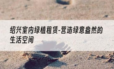 绍兴室内绿植租赁-营造绿意盎然的生活空间