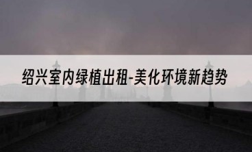 绍兴室内绿植出租-美化环境新趋势