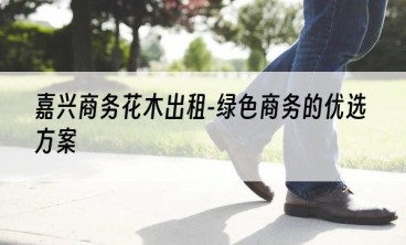 嘉兴商务花木出租-绿色商务的优选方案