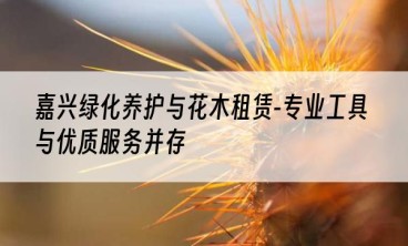 嘉兴绿化养护与花木租赁-专业工具与优质服务并存