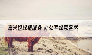 嘉兴租绿植服务-办公室绿意盎然
