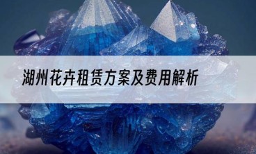 湖州花卉租赁方案及费用解析