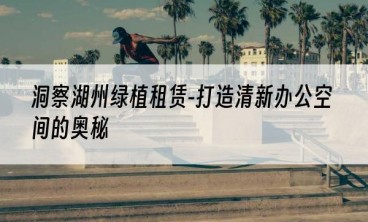 洞察湖州绿植租赁-打造清新办公空间的奥秘