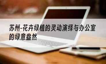 苏州-花卉绿植的灵动演绎与办公室的绿意盎然