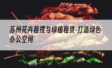 苏州花卉租摆与绿植租赁-打造绿色办公空间