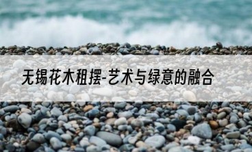 无锡花木租摆-艺术与绿意的融合