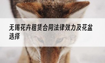 无锡花卉租赁合同法律效力及花盆选择