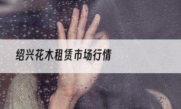 绍兴花木租赁市场行情