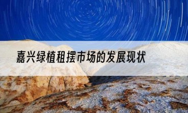 嘉兴绿植租摆市场的发展现状