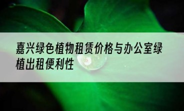 嘉兴绿色植物租赁价格与办公室绿植出租便利性
