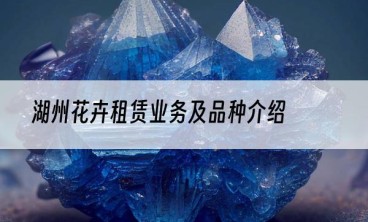 湖州花卉租赁业务及品种介绍