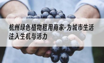 杭州绿色植物租用商家-为城市生活注入生机与活力