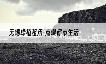 无锡绿植租用-点缀都市生活
