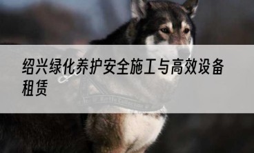 绍兴绿化养护安全施工与高效设备租赁