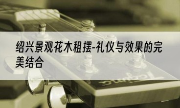绍兴景观花木租摆-礼仪与效果的完美结合