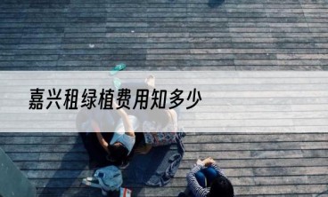 嘉兴租绿植费用知多少