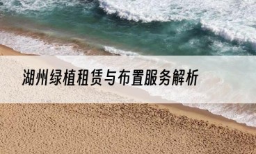湖州绿植租赁与布置服务解析