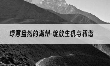 绿意盎然的湖州-绽放生机与和谐