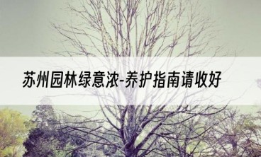 苏州园林绿意浓-养护指南请收好
