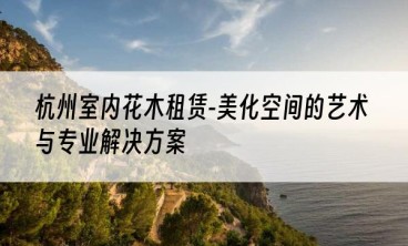 杭州室内花木租赁-美化空间的艺术与专业解决方案