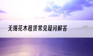 无锡花木租赁常见疑问解答