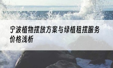 宁波植物摆放方案与绿植租摆服务价格浅析