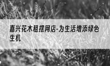 嘉兴花木租摆网店-为生活增添绿色生机