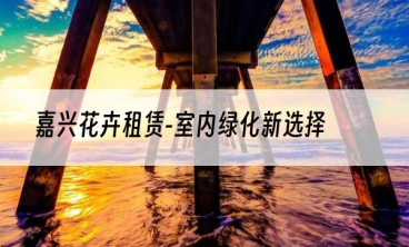 嘉兴花卉租赁-室内绿化新选择