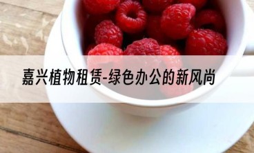 嘉兴植物租赁-绿色办公的新风尚