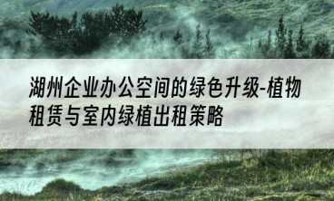 湖州企业办公空间的绿色升级-植物租赁与室内绿植出租策略